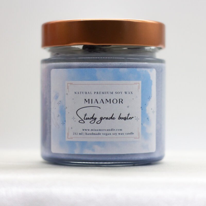 Study Grade Booster Manifest Soy Wax Candle